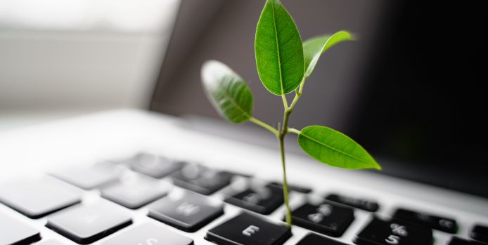 A small green plant growing between the keys of a laptop keyboard, symbolizing sustainable technology.